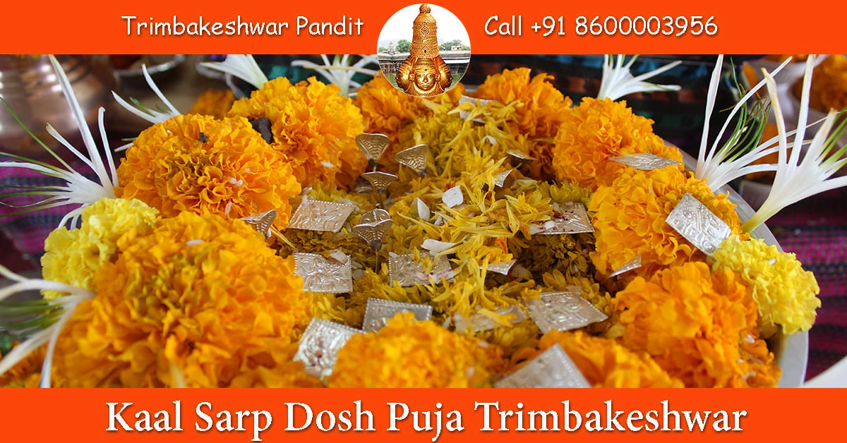 Kaal Sarp Dosh Puja Trimbakeshwar