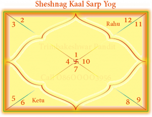 Chart of Sheshnag Kaal Sarp Yog