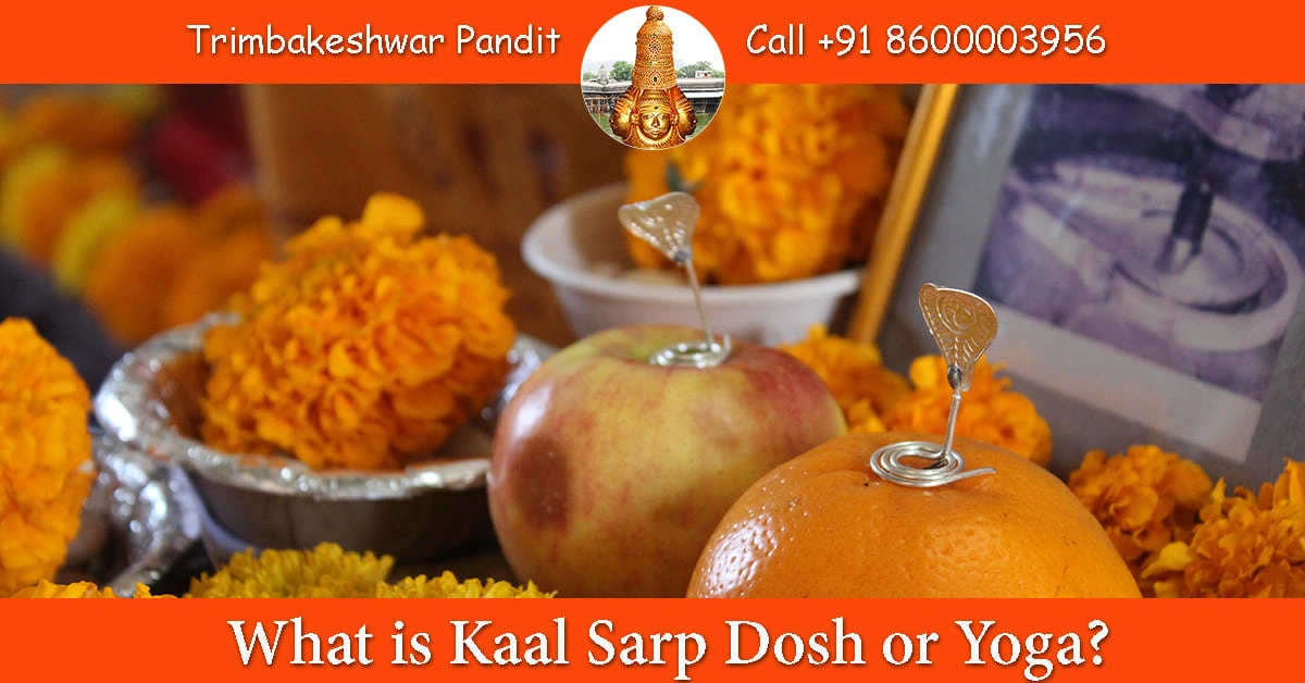 What is Kaal Sarp Dosh or Yoga?